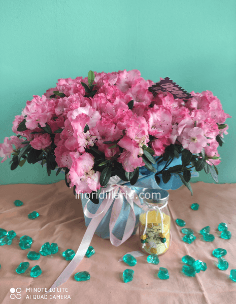 Azalea in vaso con candela profumata