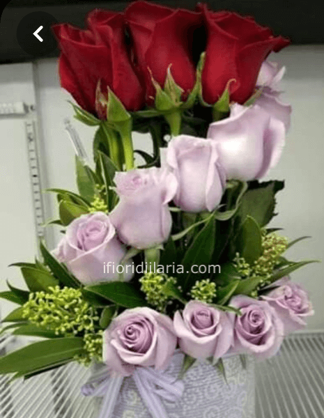 Vortice di rose