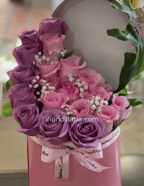 Pink rose's