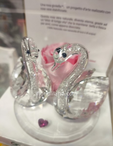 Rosa stabilizzata con cigni