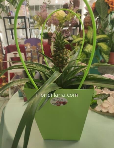 Ananas