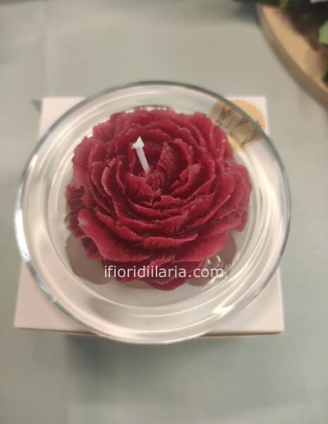 Candela peonia